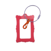 Bag Tag: Ornate Frame